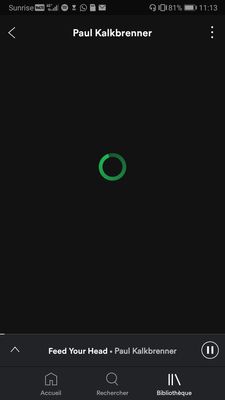 Screenshot_20190402_111323_com.spotify.music.jpg