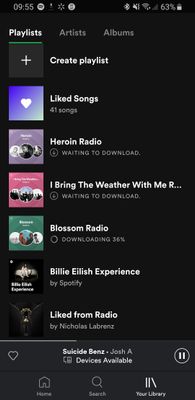 Screenshot_20191202-095535_Spotify.jpg