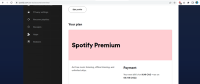 spotify plan.png