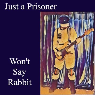 WONT SAY RABBIT JUST A PRISONER ARTWORK.jpg