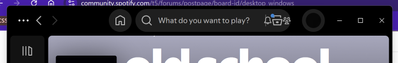spotify bug ss.png