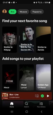 Screenshot_20241028_014740_Spotify.jpg