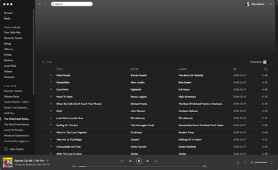 Spotify 1.jpg