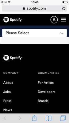 spotify.PNG