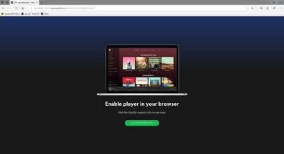 spotify error.png