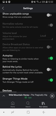 spotifysetting.jpg