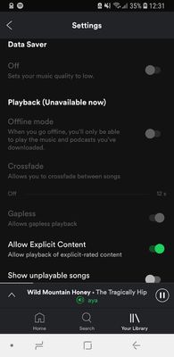 spotify_setting.jpg